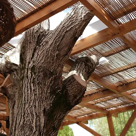 комплекс белите скали