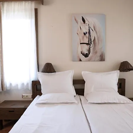 комплекс белите скали