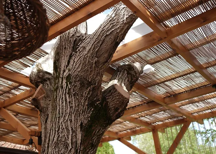 комплекс белите скали